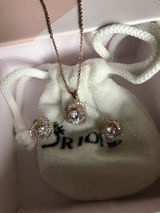 Ananya review photo