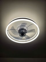 Wang review photo
