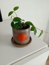 Frida review photo