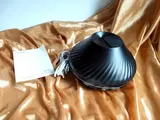 Vicky Robel review photo