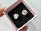 AliExpress Shopper review photo