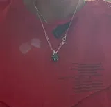A***a review photo