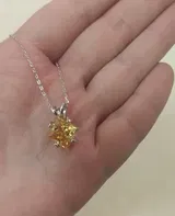 AliExpress Shopper review photo