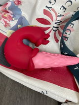 Colleen S. review photo