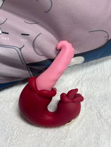 Amelia C. review photo