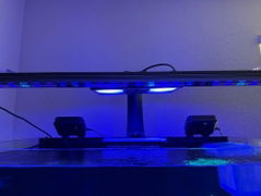 Review picture