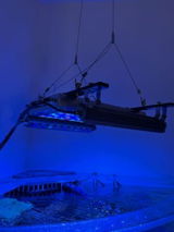 K.A. review photo