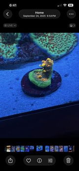 A.W. review photo