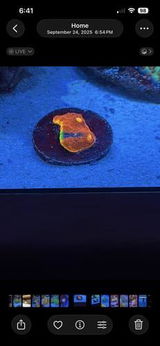 A.W. review photo