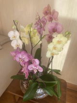 gabriela f. review photo