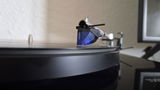 Frank H. review photo