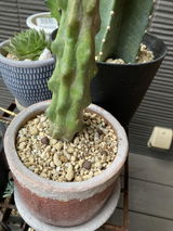 匿名 review photo