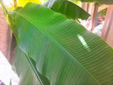 Coop review photo