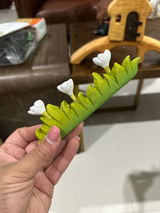 Anaum Z. review photo