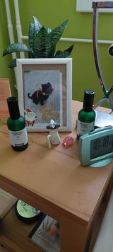 Gabriele K. review photo