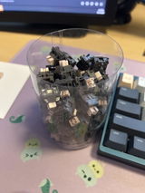 B.Y. review photo