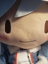 A.H. review photo