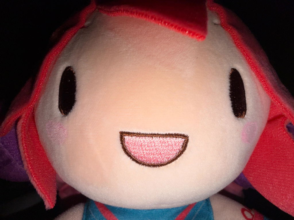 KASANE TETO - fuwa petit - M Plush
