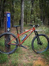 JT Taylor review photo