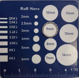 Shay review photo