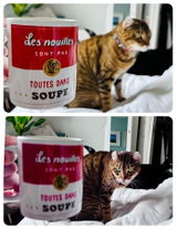 Emy Bergeron Richer review photo