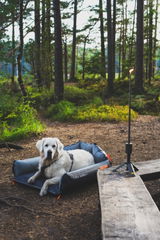 XC70_OVERLANDER review photo
