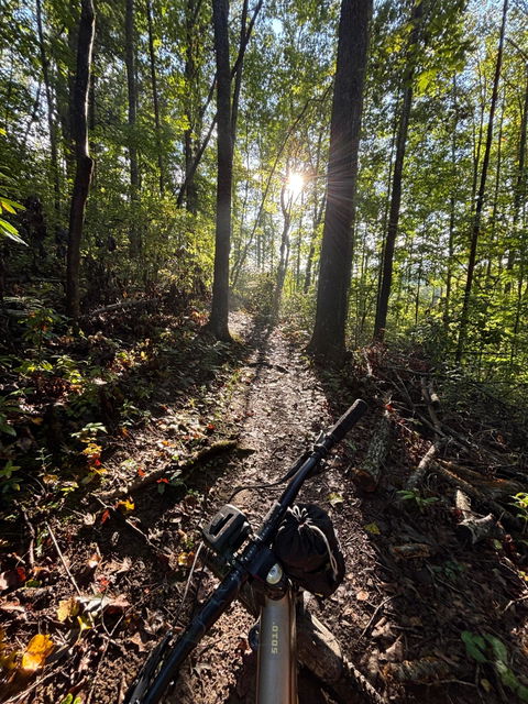 Trail Evo Bike Light