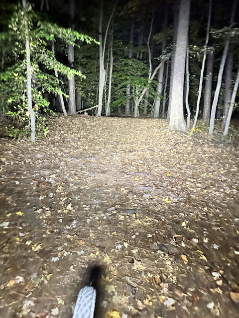 Outbound Lighting