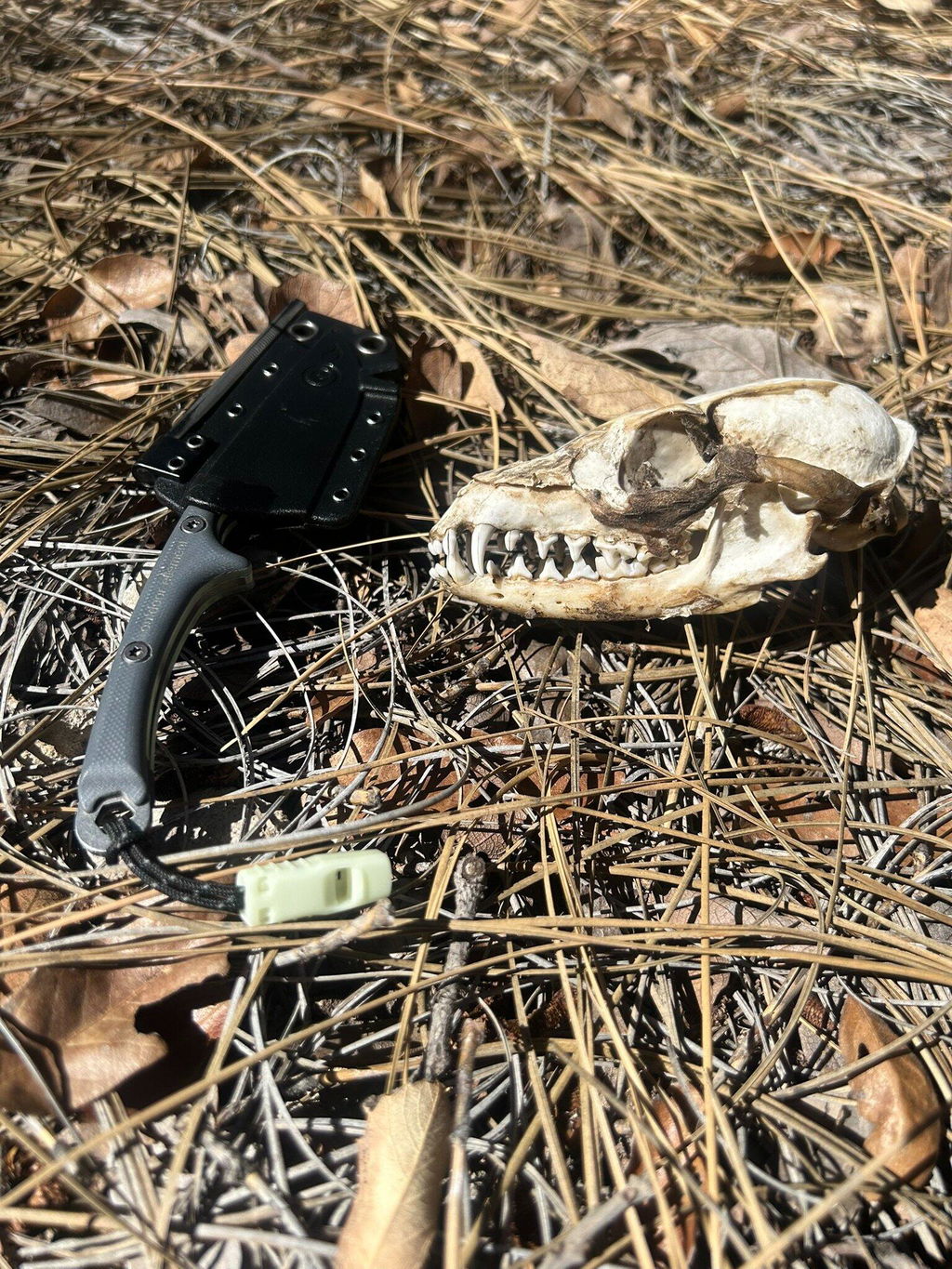 Scout Feather Adventure Survival Knife