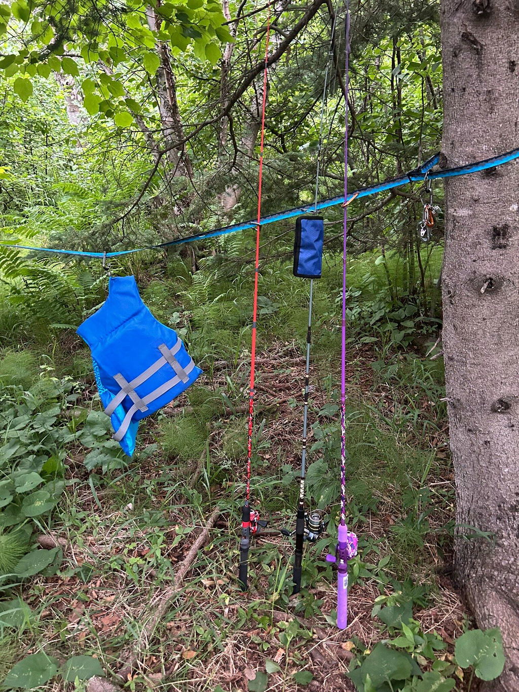 Charlotte's Webbing Camp Organizer