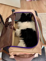 Karl McNamara review photo