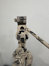Terry Chapman review photo