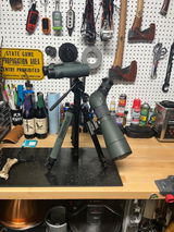 D M review photo