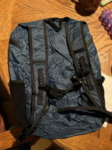 Ginger Trine review photo