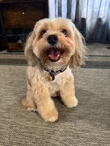 Etsy customer review photo