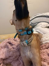 Etsy customer review photo