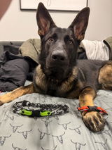 Etsy customer review photo