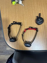 Dominick review photo