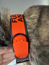 Raven review photo