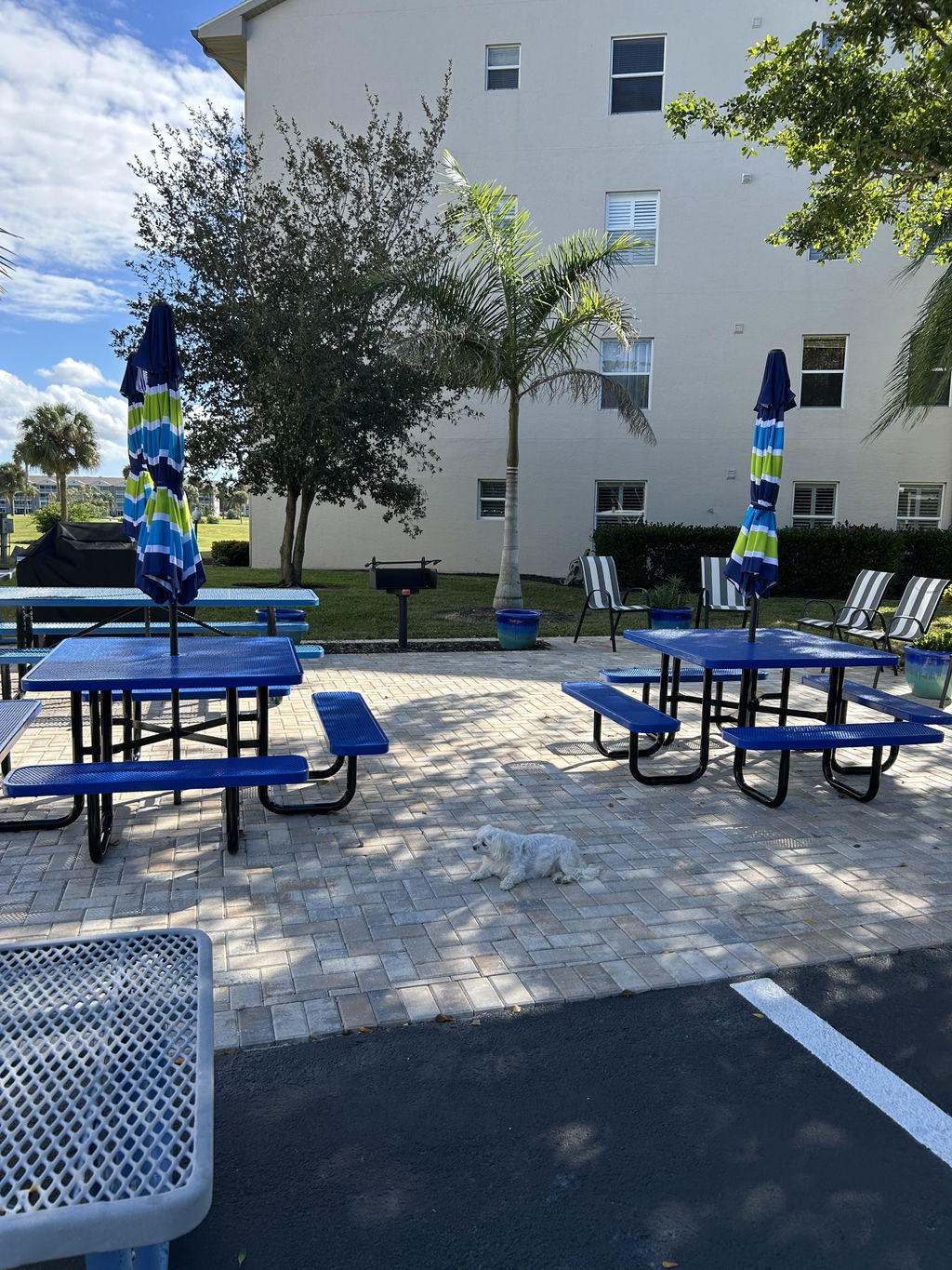 Metal Picnic Table - Square Punched Metal - 46 in - Blue - ADA Compliant