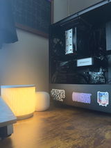 Rohit Wilson review photo