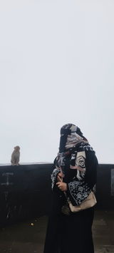 Bushra Danish inamdar review photo