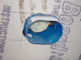 SWong review photo