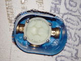 SWong review photo
