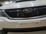 ChickenChaser review photo