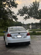 Tailyn Wildt review photo