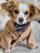 Casper&Kona review photo