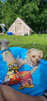 Nala y Oliver review photo