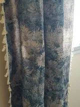 Silvana review photo