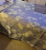 kate P. review photo